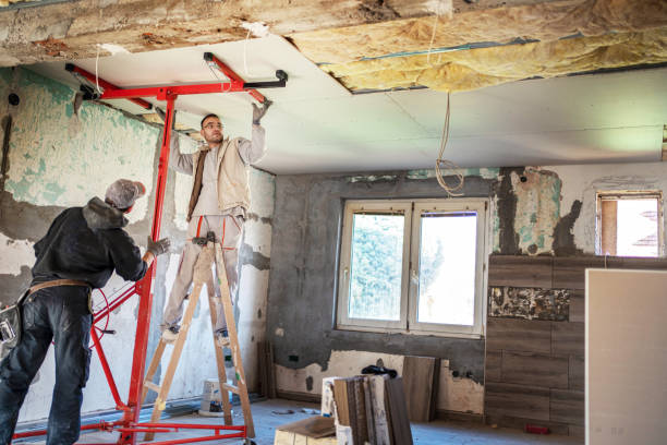 Best Geographic-Specific Insulation Services in Shawsville, VA