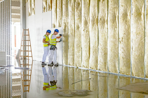 Best Insulation Maintenance and Repair in Shawsville, VA